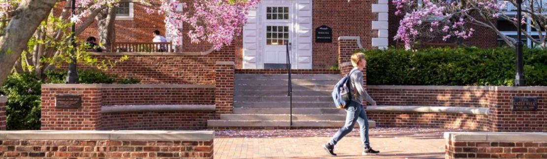 Washington College campus