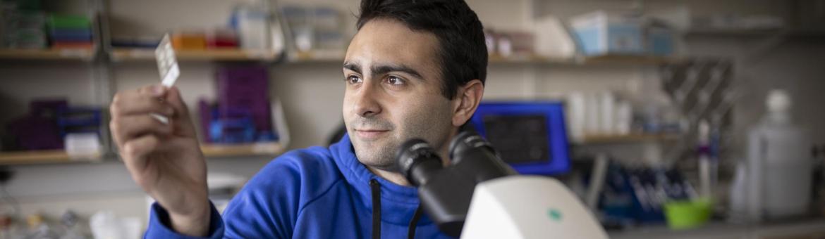 Emmanuel College campus