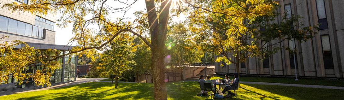 Brandeis University campus