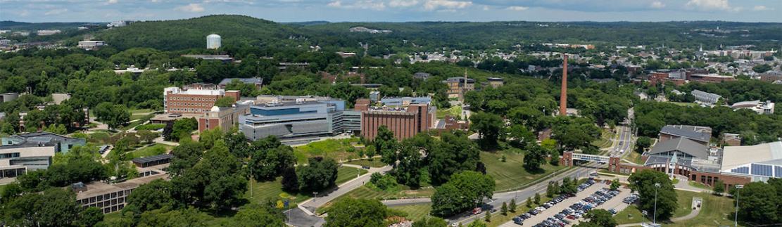 Brandeis University campus