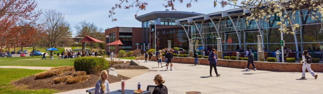State University of New York - Binghamton University