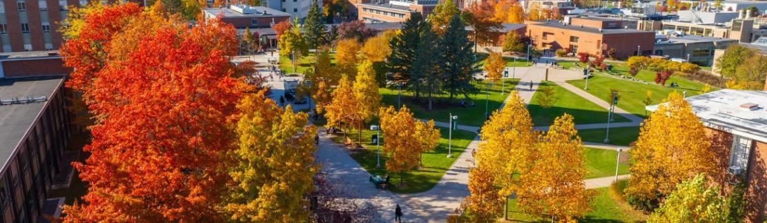 State University of New York - Binghamton University campus
