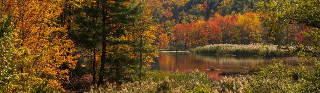 State University of New York - Binghamton University campus