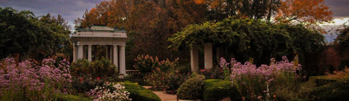 Bard College