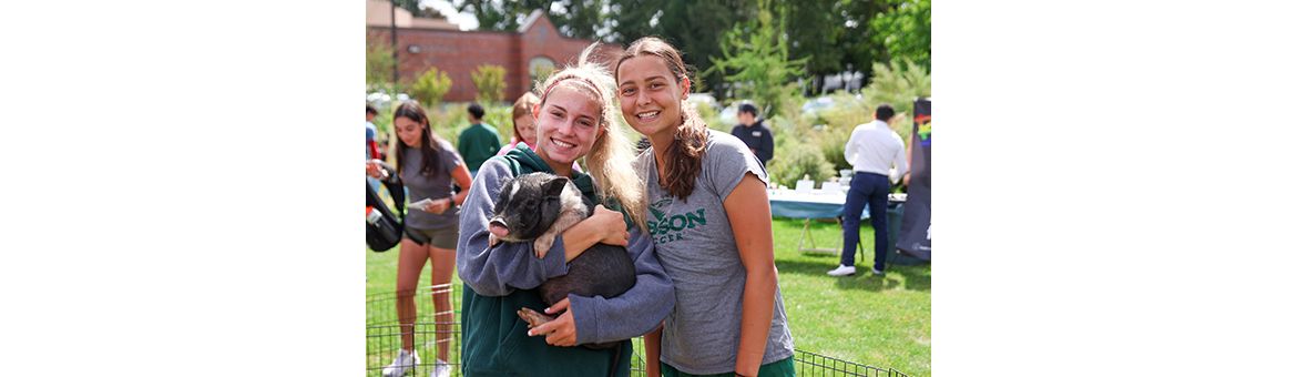 Babson College campus