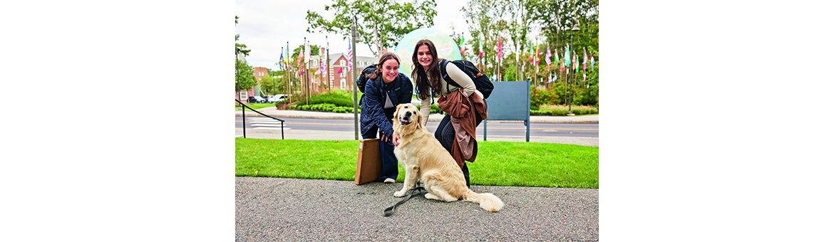 Babson College campus