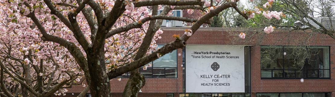 Iona University campus