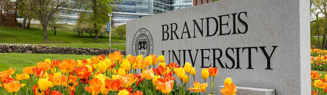 Brandeis University