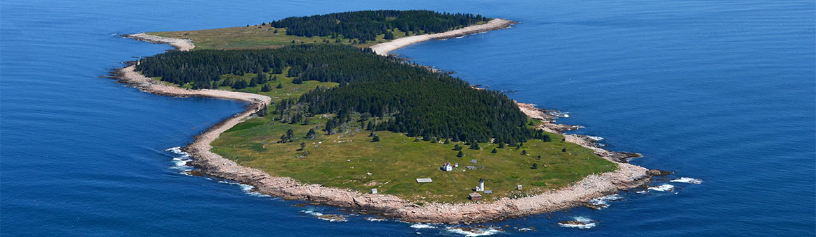 College of the Atlantic campus