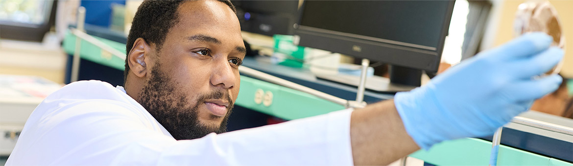 St. Joseph's University, New York (Brooklyn) campus